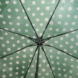 EDELWEISS Schirm Grün - für die Tasche